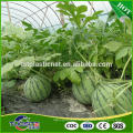 China wholesale reasonable price greenhouse kits film